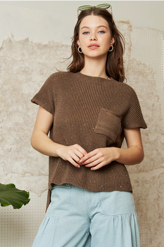 Brown Sequin Knit Top