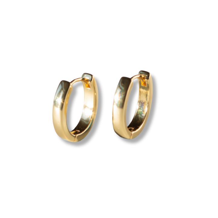 Small Oval Hoops