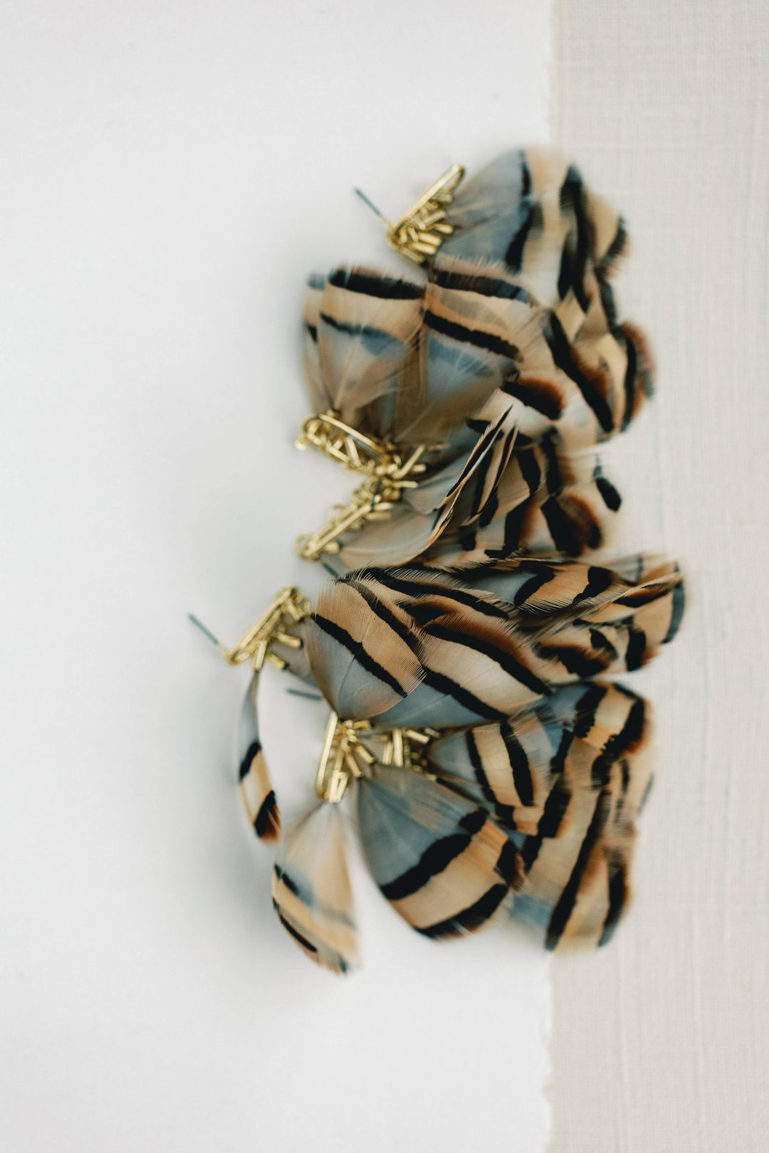 Brown Striped Feather Earrings