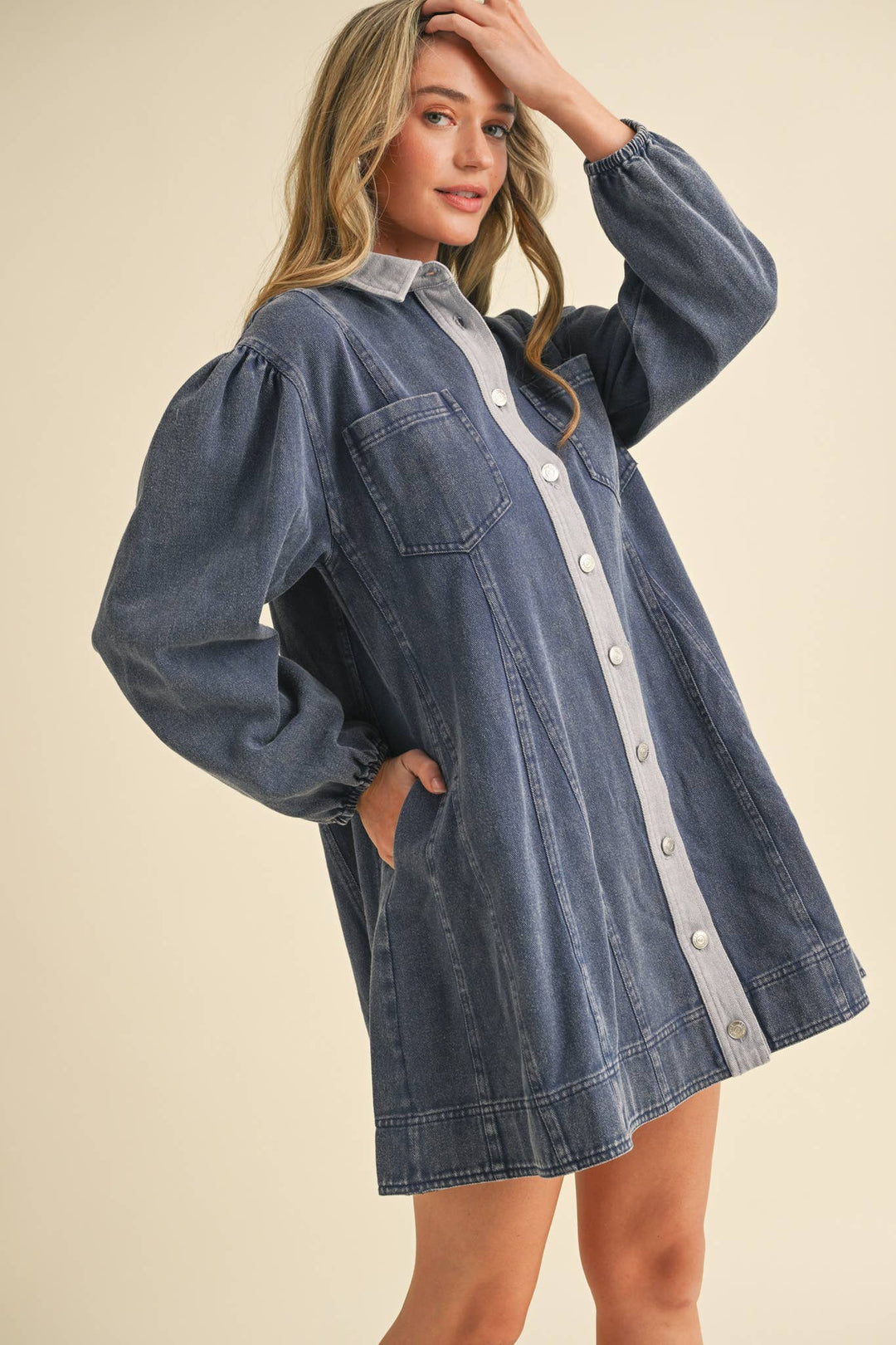 Denim Button Down Mini Dress