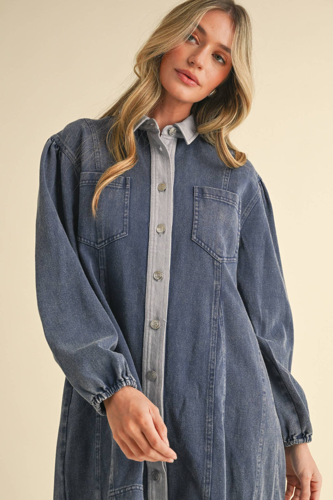 Denim Button Down Mini Dress