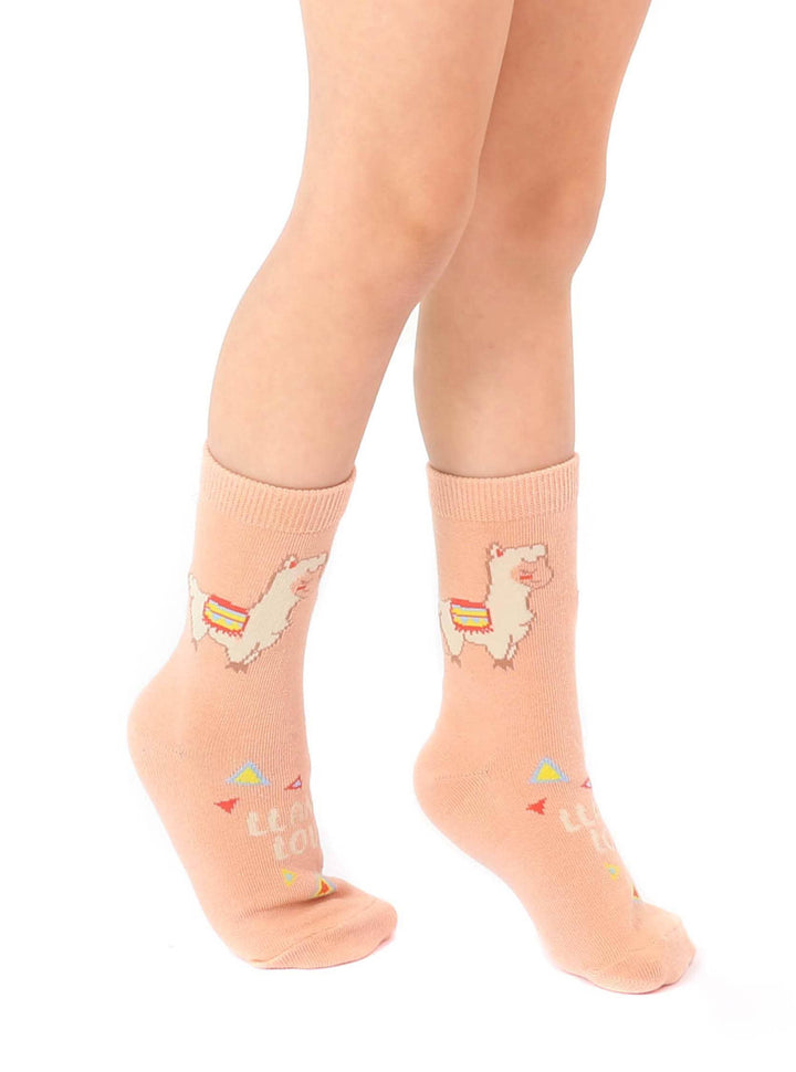 3D Packaged Llama Socks