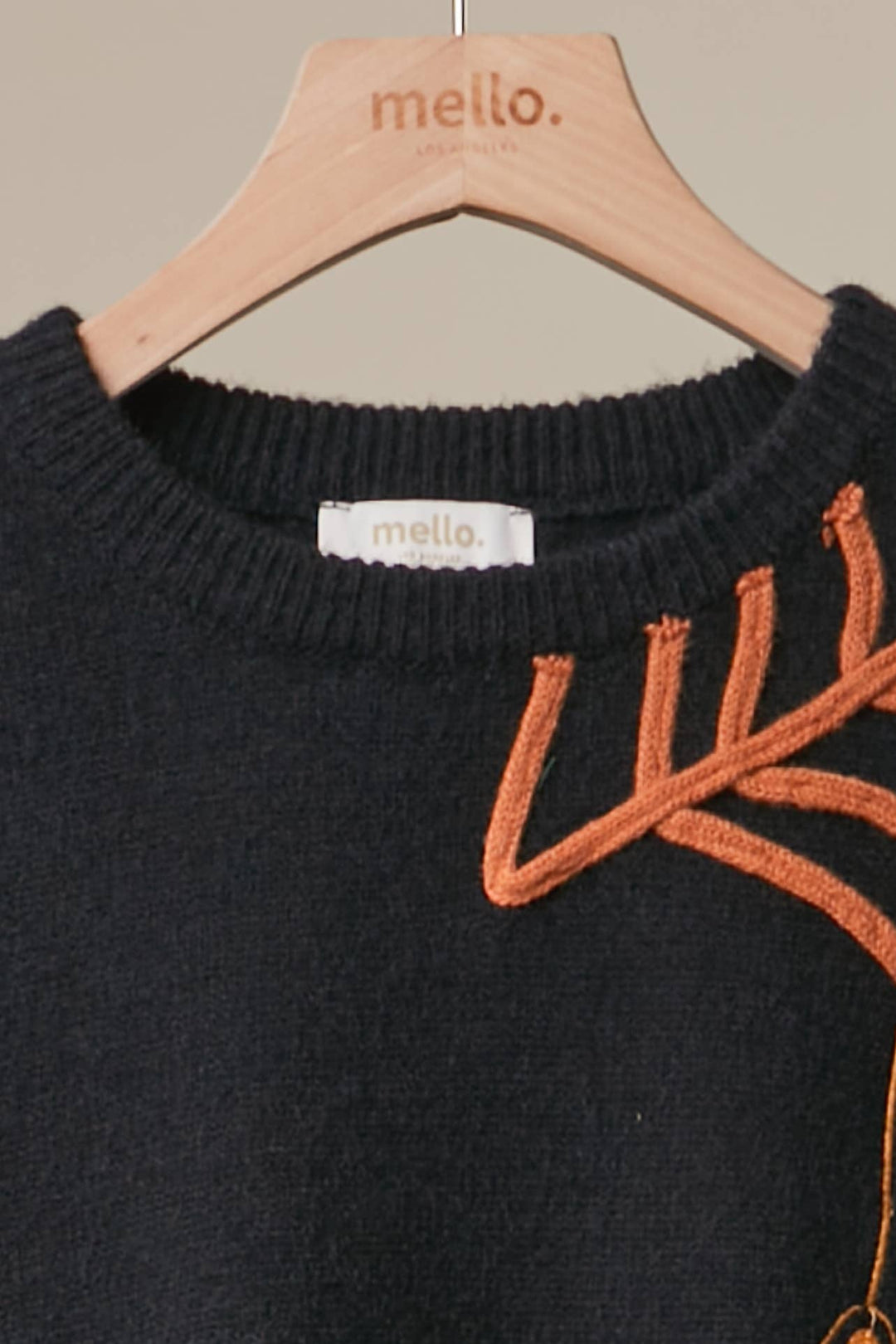 Halloween Spider Web and Spider Sweater