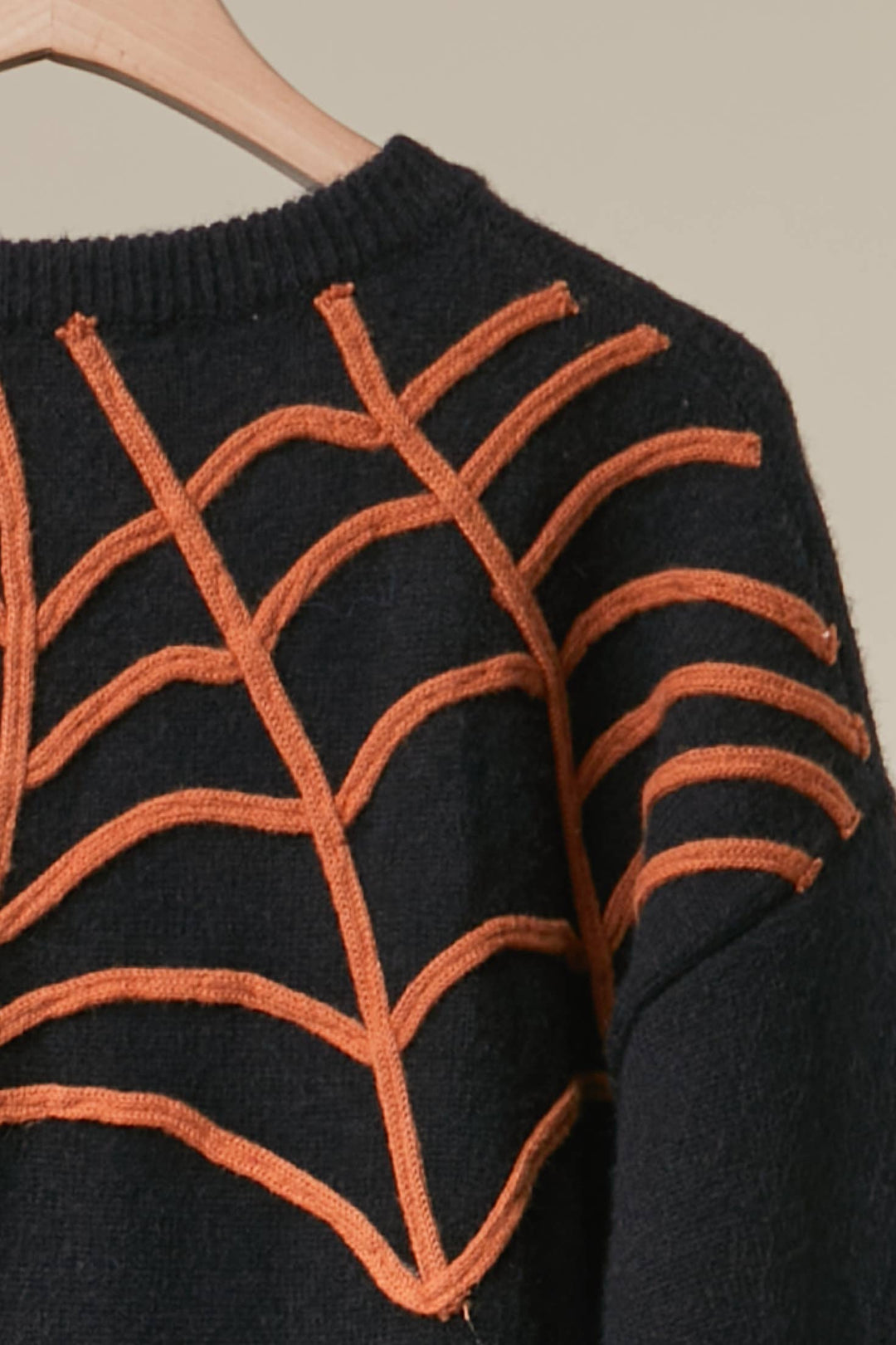 Halloween Spider Web and Spider Sweater
