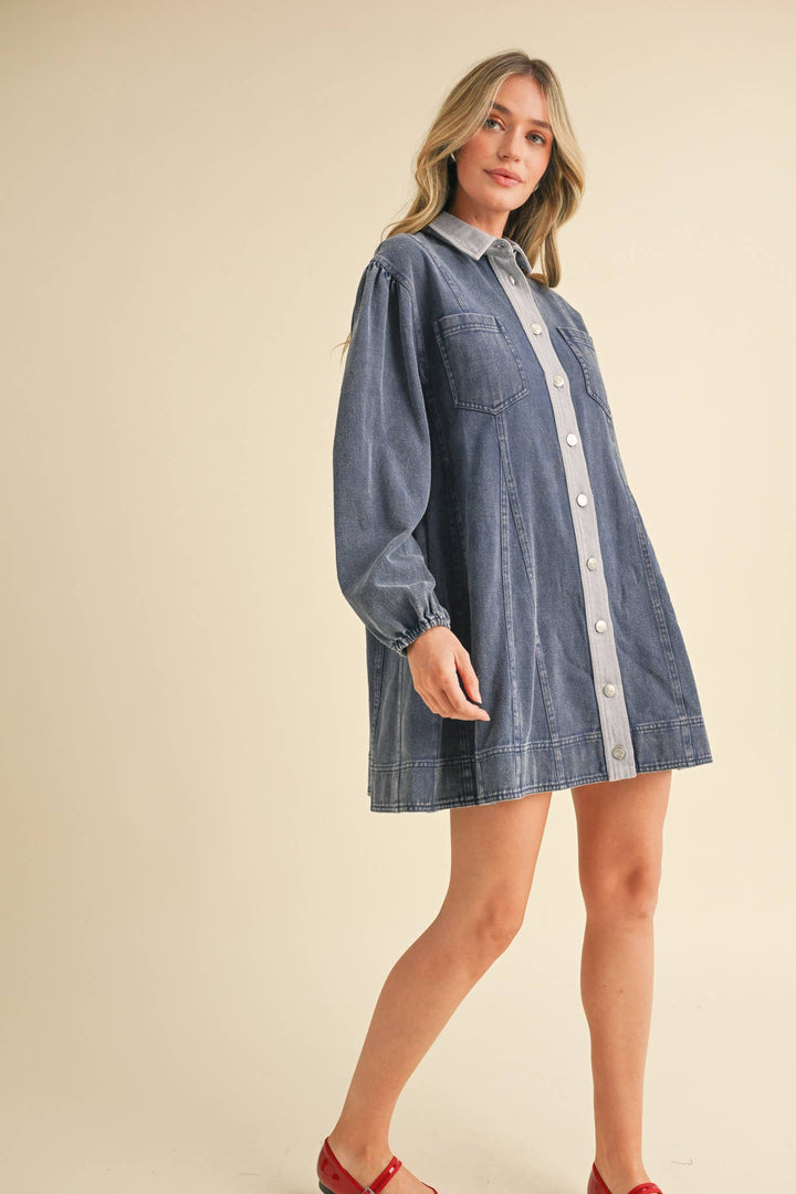 Denim Button Down Mini Dress