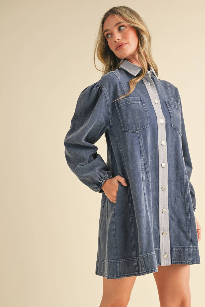 Denim Button Down Mini Dress
