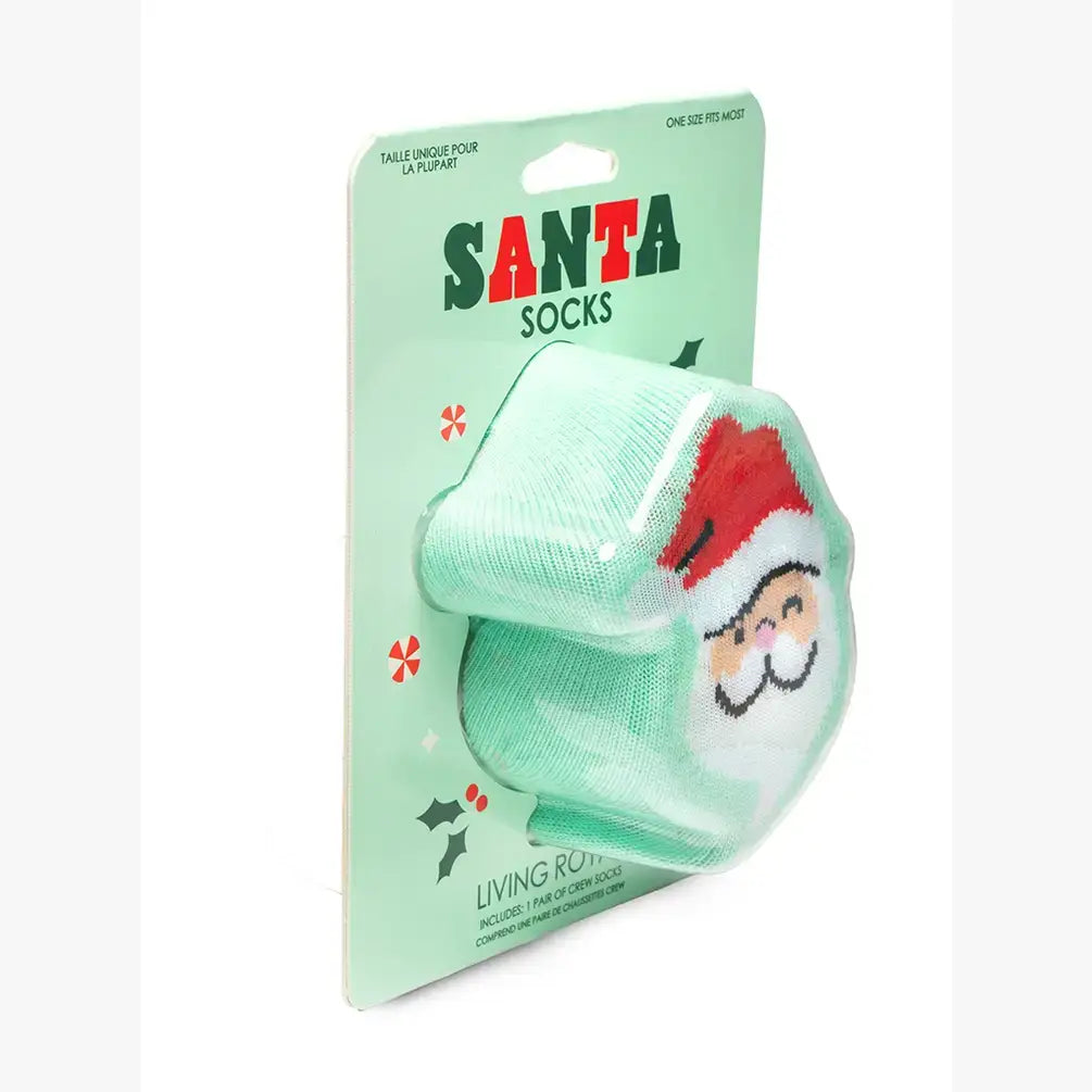 3D Packaged Santa Socks