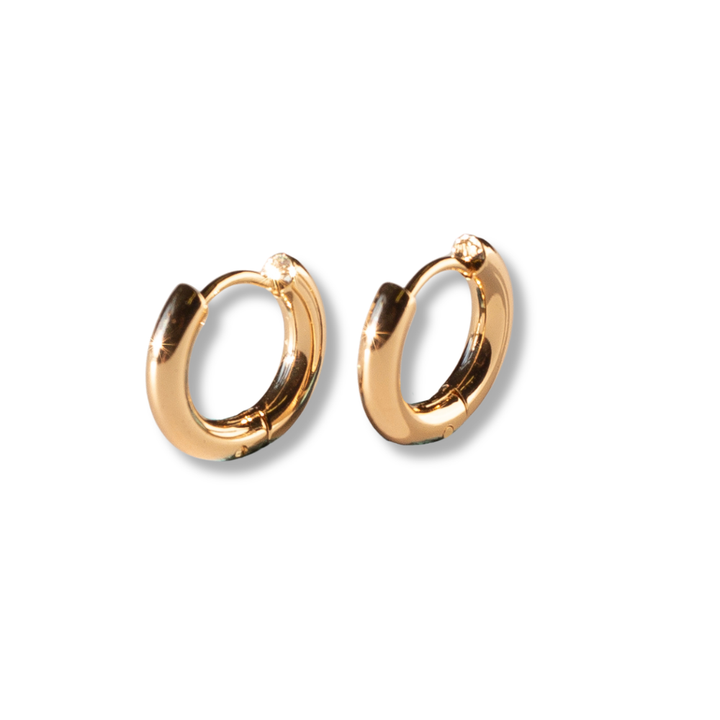 Small Gold Hoops