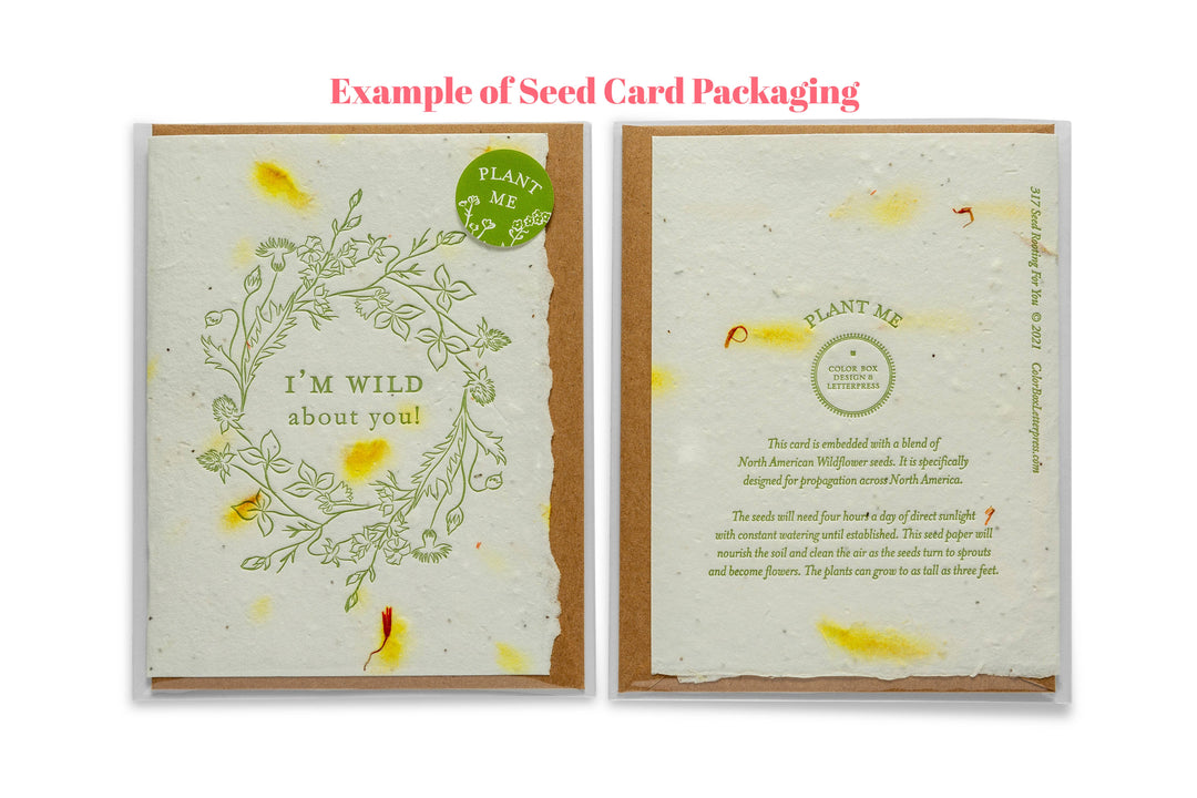 Wild Birthday | Seed Card | Letterpress Greeting Card