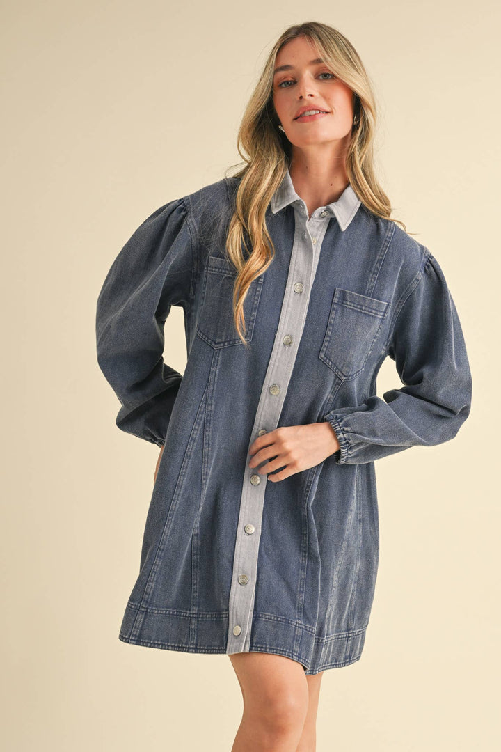 Denim Button Down Mini Dress
