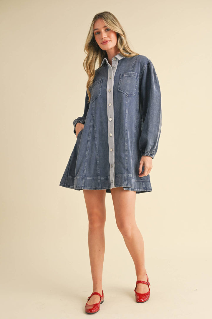 Denim Button Down Mini Dress