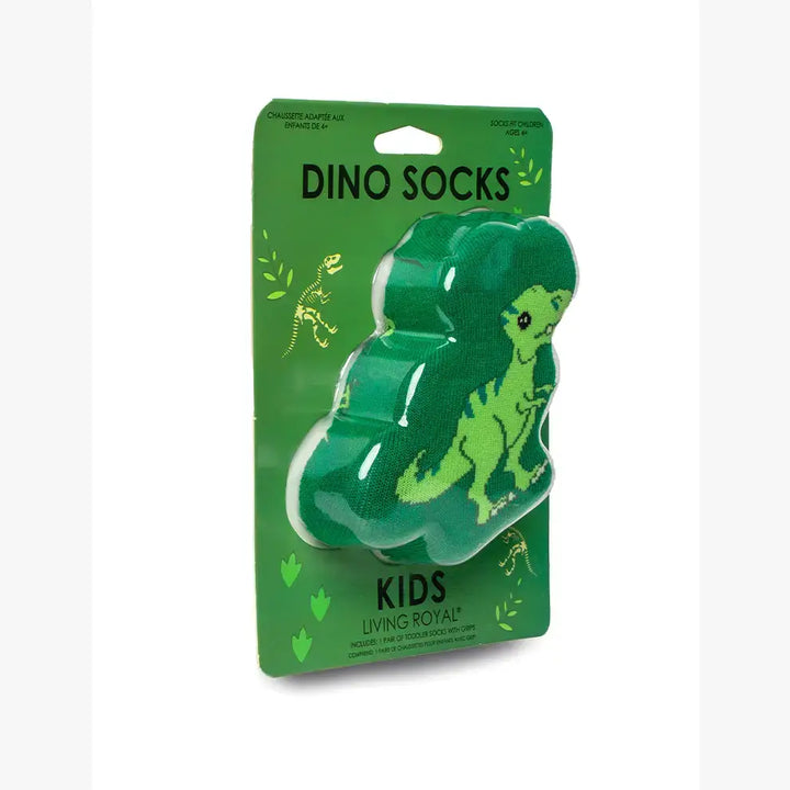 3D Packaged Dinosaur Socks