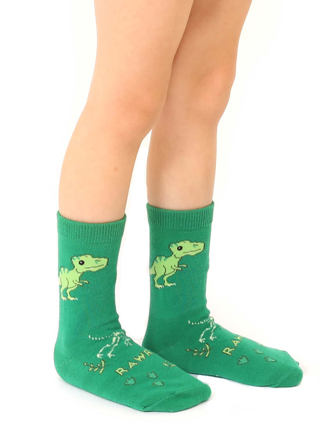 3D Packaged Dinosaur Socks