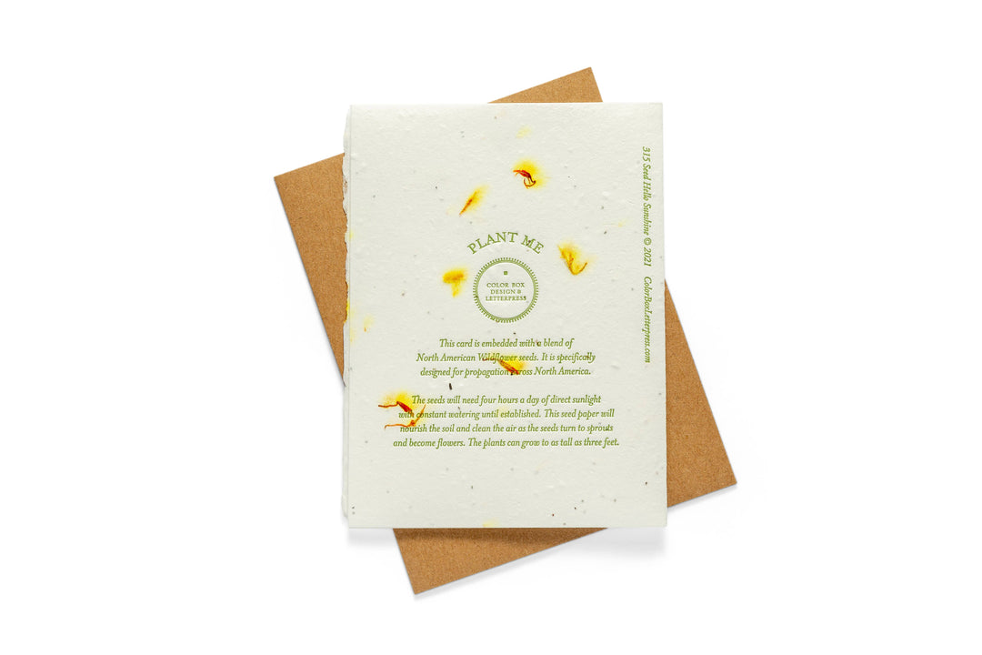 Wild Birthday | Seed Card | Letterpress Greeting Card